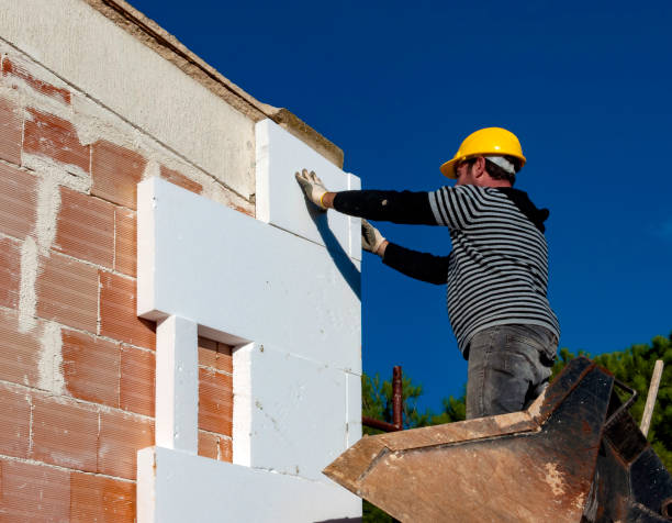 Best Insulation Installation Services in St Bonifacius, MN