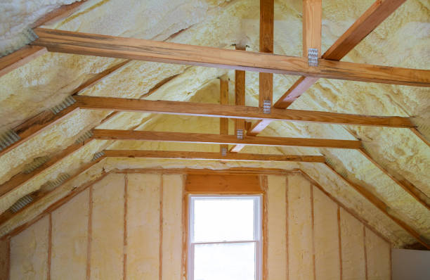 Professional Insulation Contractor in MN