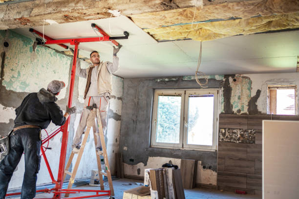 Best Insulation Maintenance and Repair in St Bonifacius, MN
