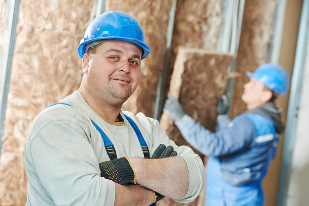 Best Insulation Materials and Products in St Bonifacius, MN