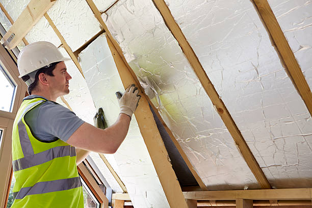 Best Insulation for Specific Applications in St Bonifacius, MN