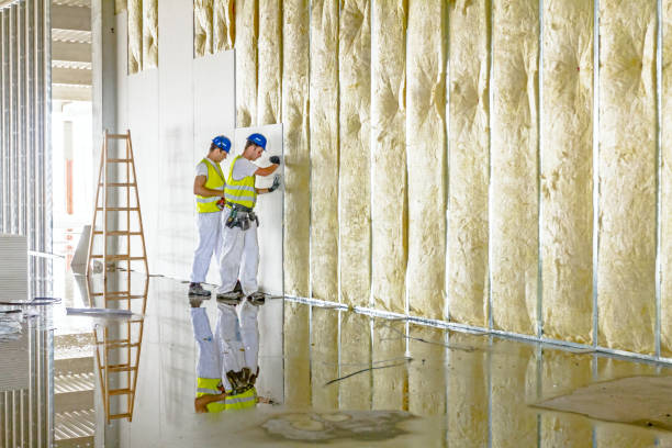 Best Insulation for Specific Applications in St Bonifacius, MN